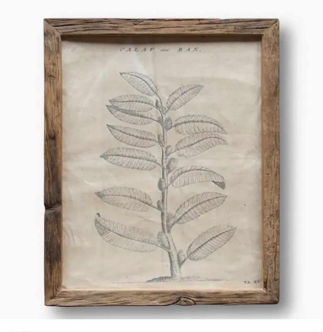 DECORACIÓN PARED
