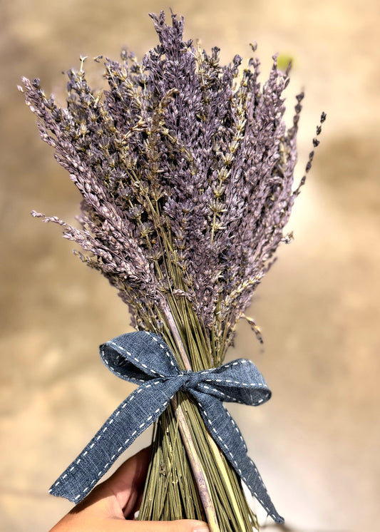 Ramo de Lavanda preservada L