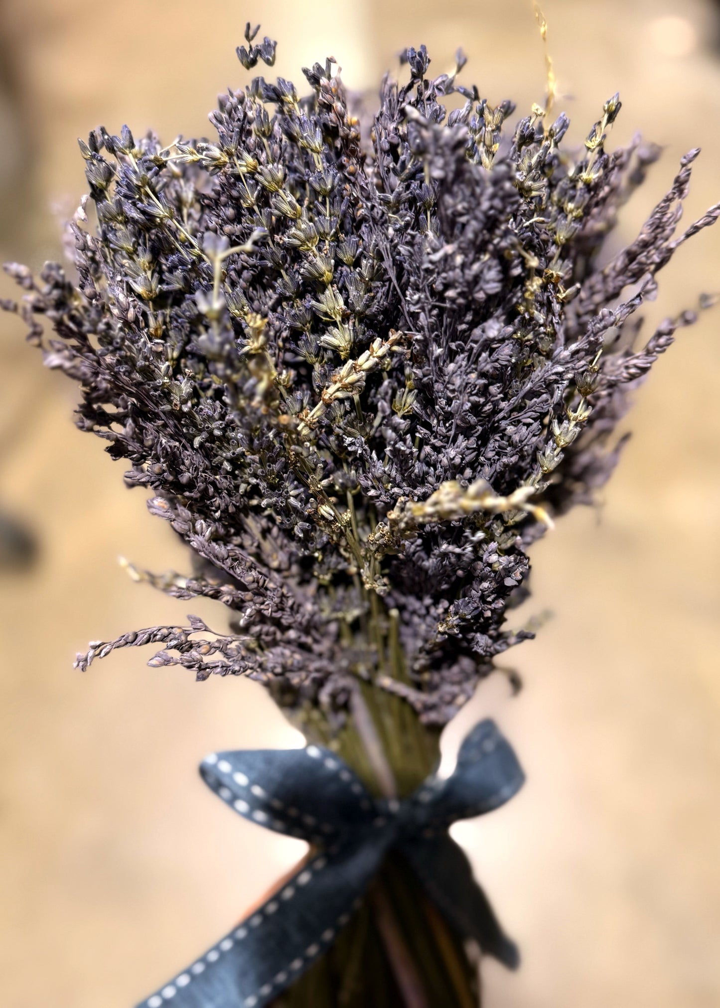 Ramo de Lavanda preservada L