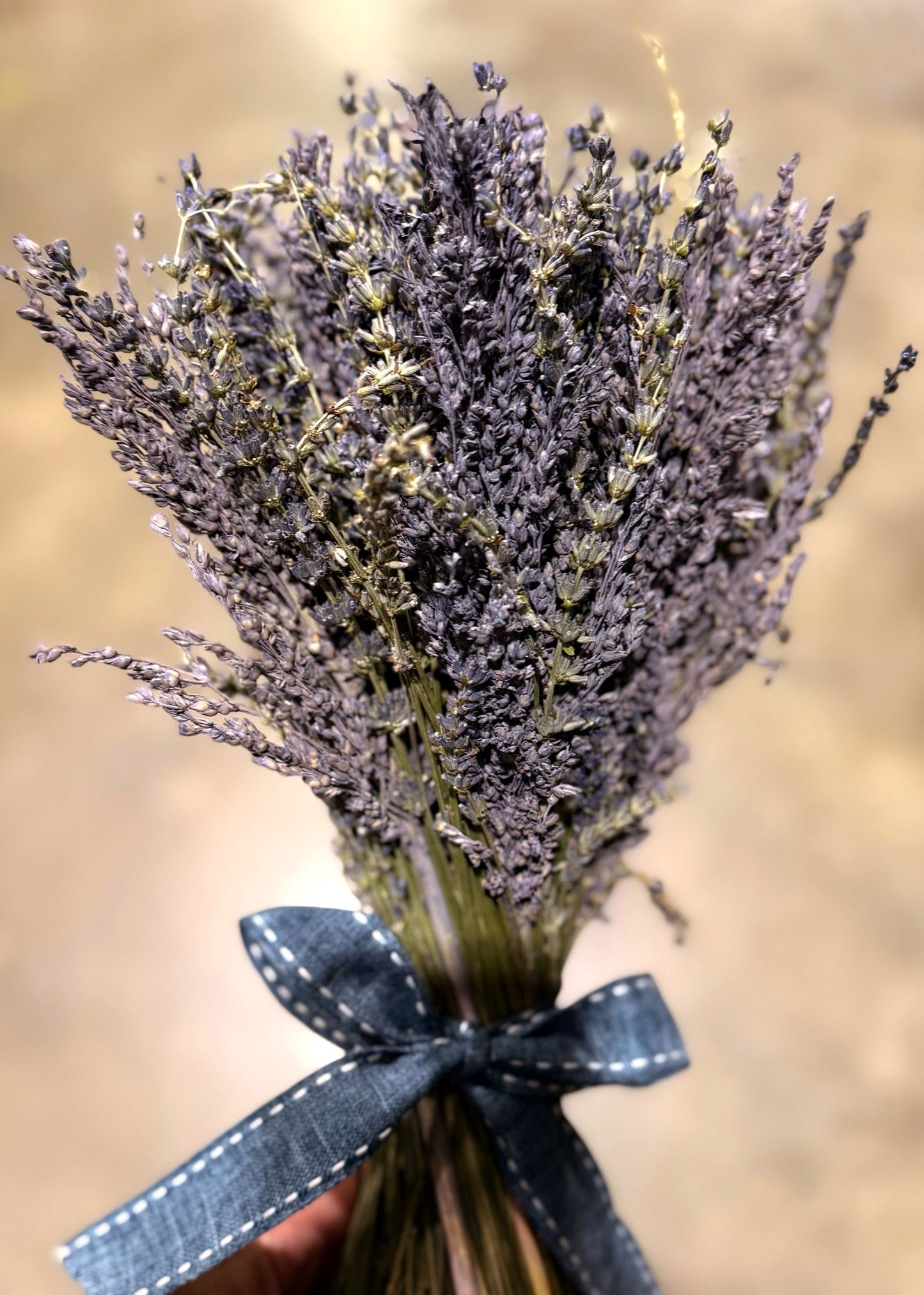 Ramo de Lavanda preservada L